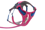 Alpenglow Pink (655)