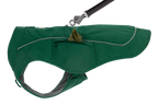 Evergreen (317)