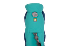 Aurora Teal (421)