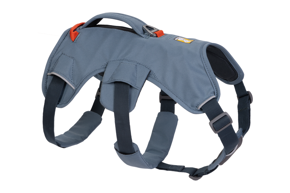 WebMaster Slate Blue (413)