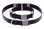 Confluence™ Waterproof Dog Collar