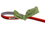 Red Canyon (625)