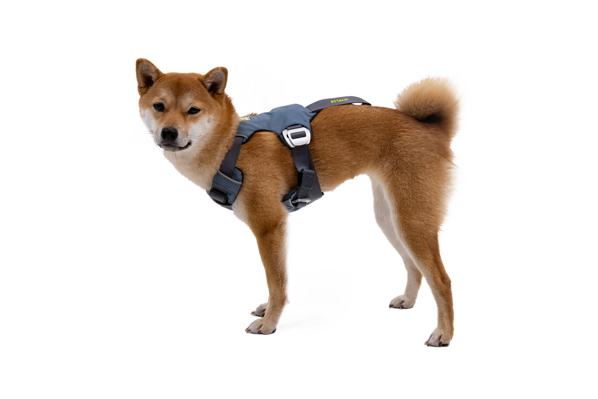 Load Up Harness Side View Slate Blue (413)