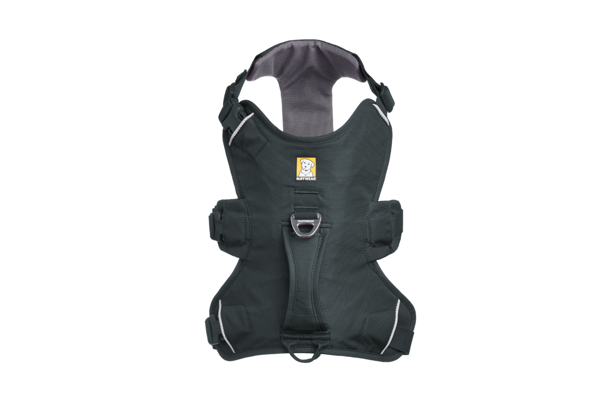Basalt Gray (042)