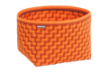 Autumn Horizon (203)