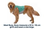 Aurora Teal (421)