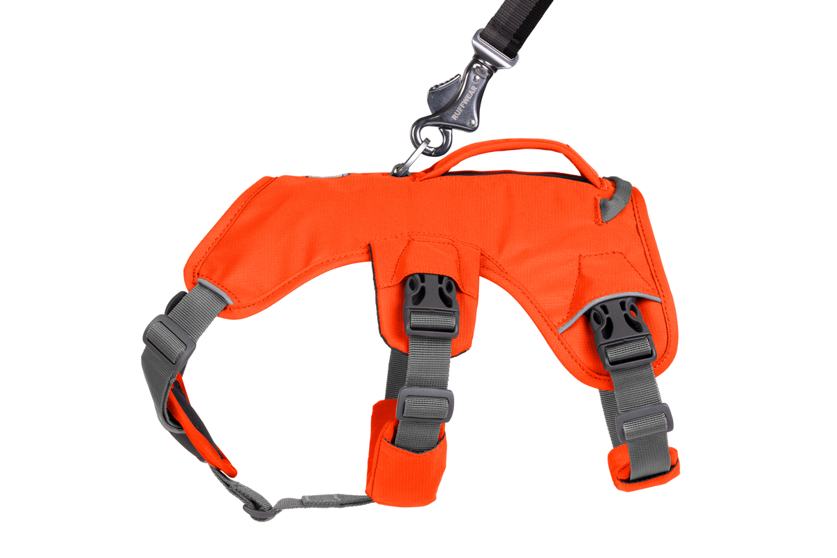 WebMaster Harness Left Profile
