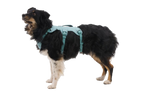 River Rock Green (355)
