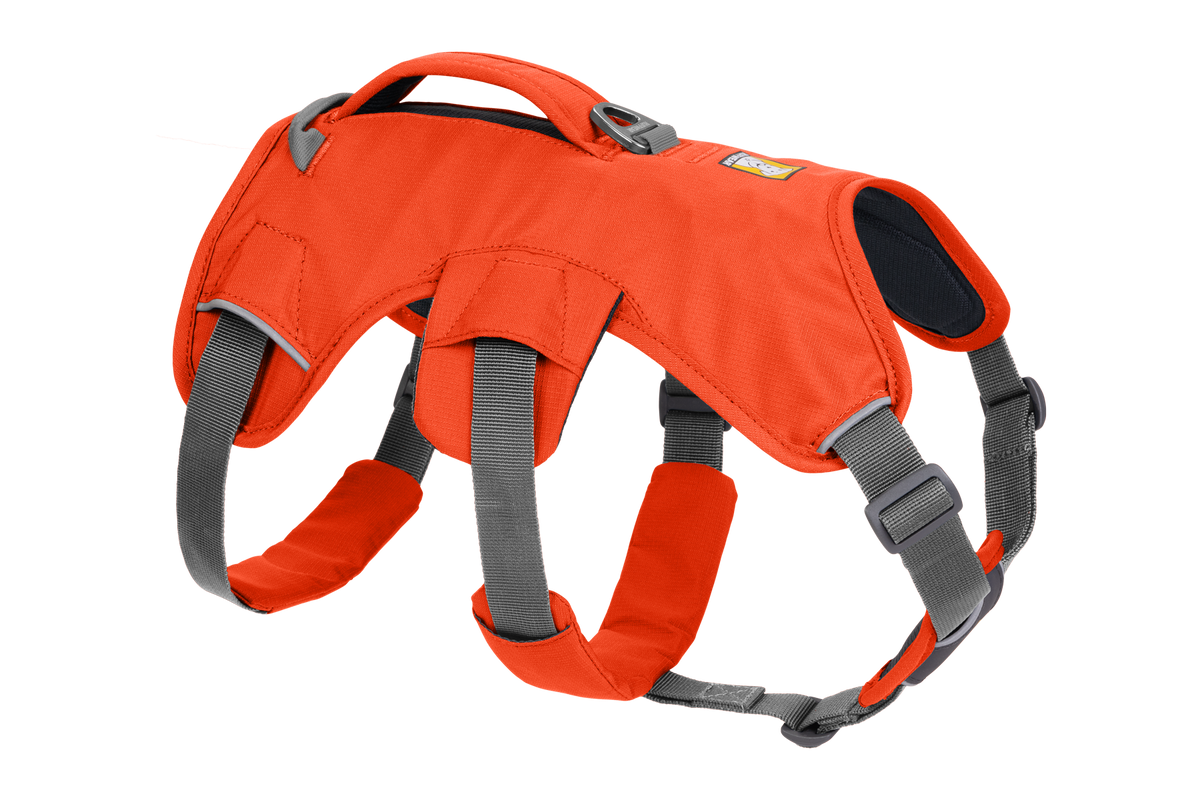 WebMaster Blaze Orange (850)