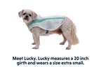 Sage Green (330)