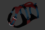 Salmon Pink (658)