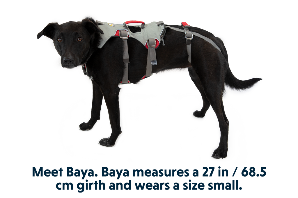 Doubleback Harness in Cloudburst Gray (045)