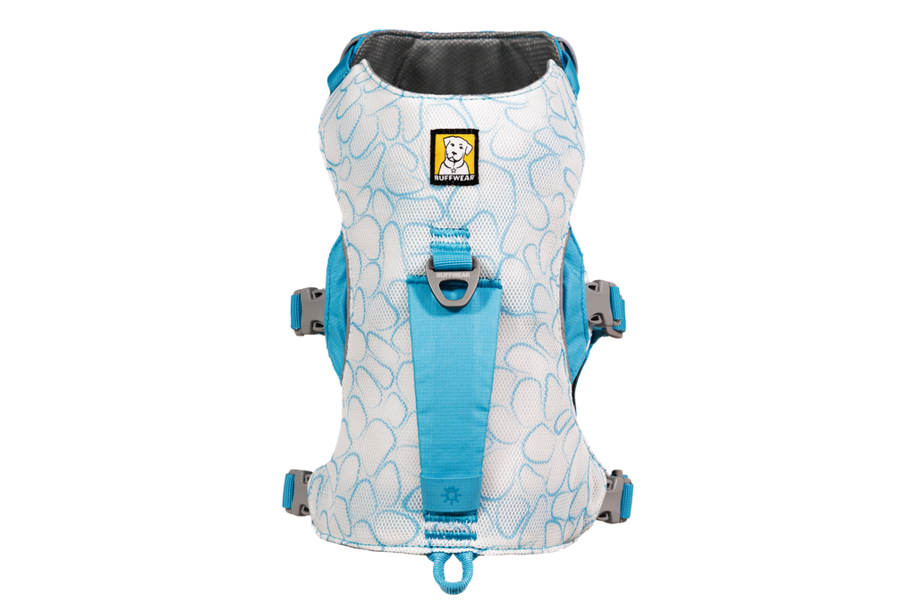 Biolumin Blue (445)