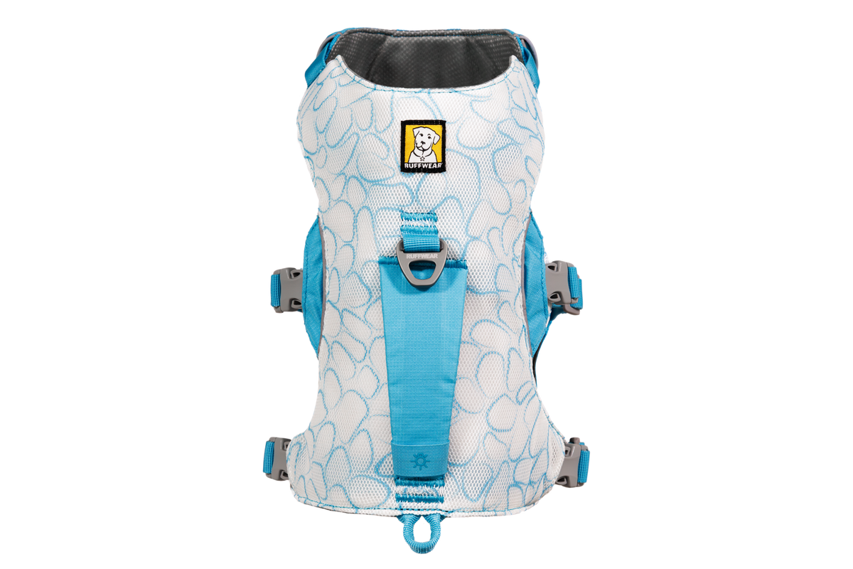 Biolumin Blue (445)