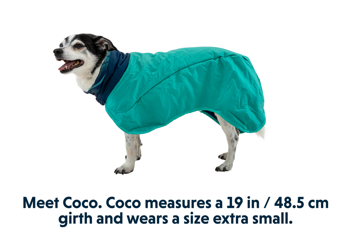 Aurora Teal (421)