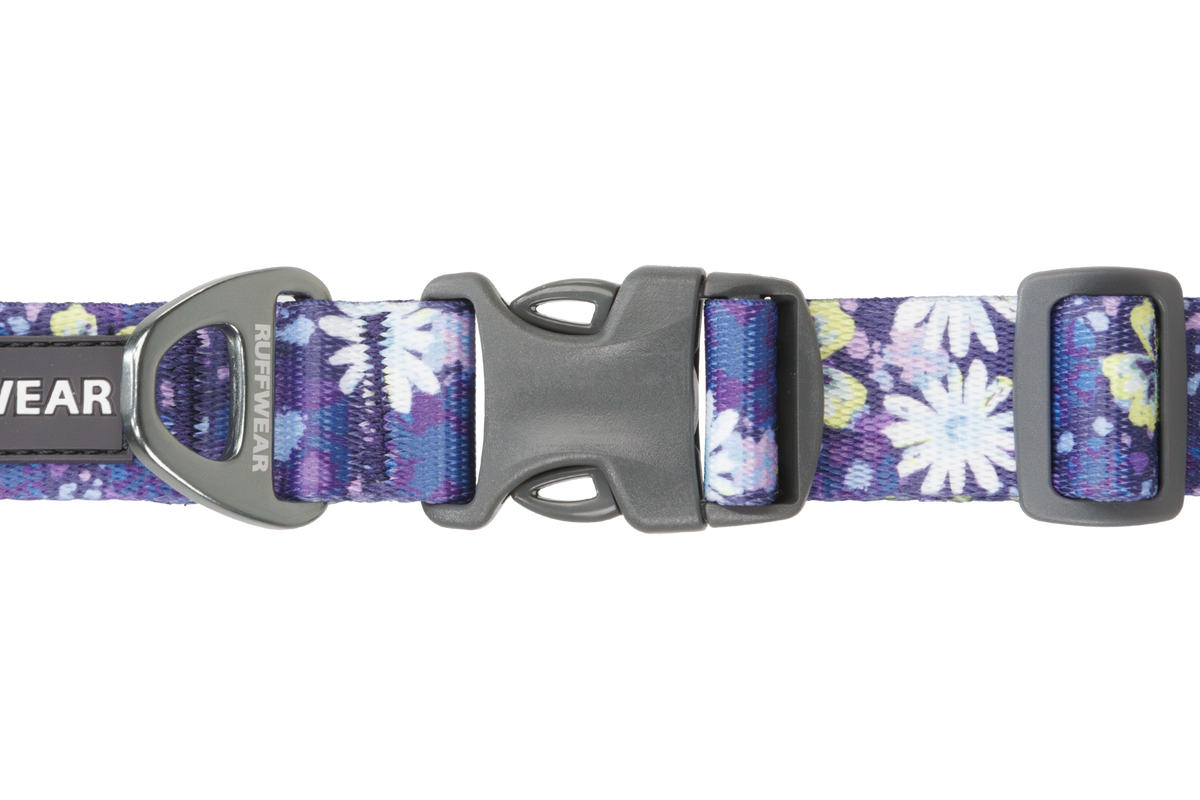 Wildflower (918)