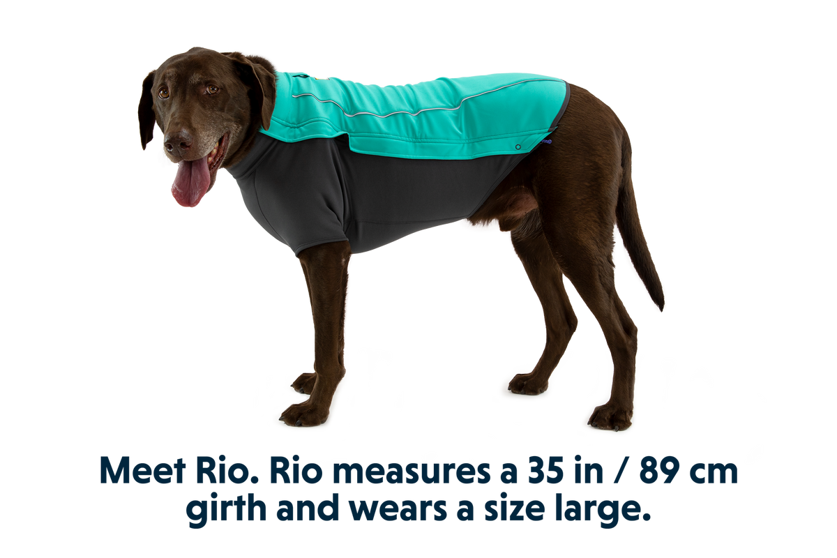 Aurora Teal (421)