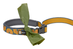 Canyon Oxbow (972)
