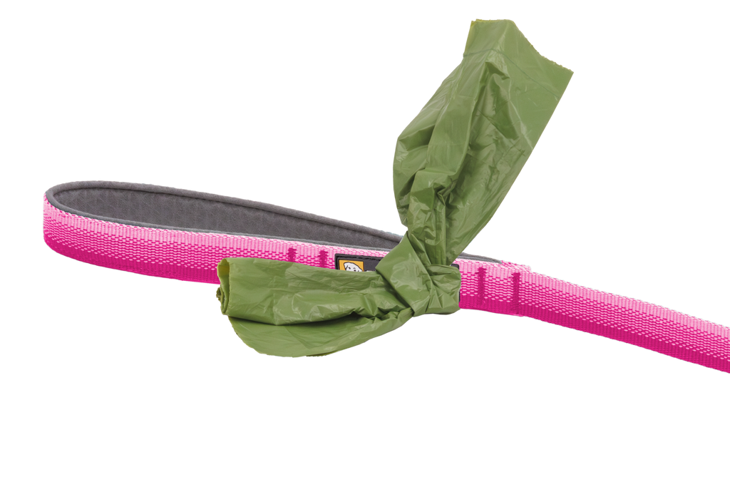 Pink Rose (690)