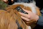 Obsidian Black (001)