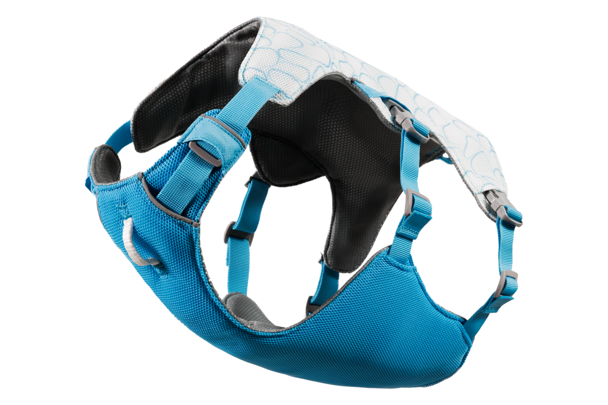 Biolumin Blue (445)