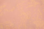 Salmon Pink (658)