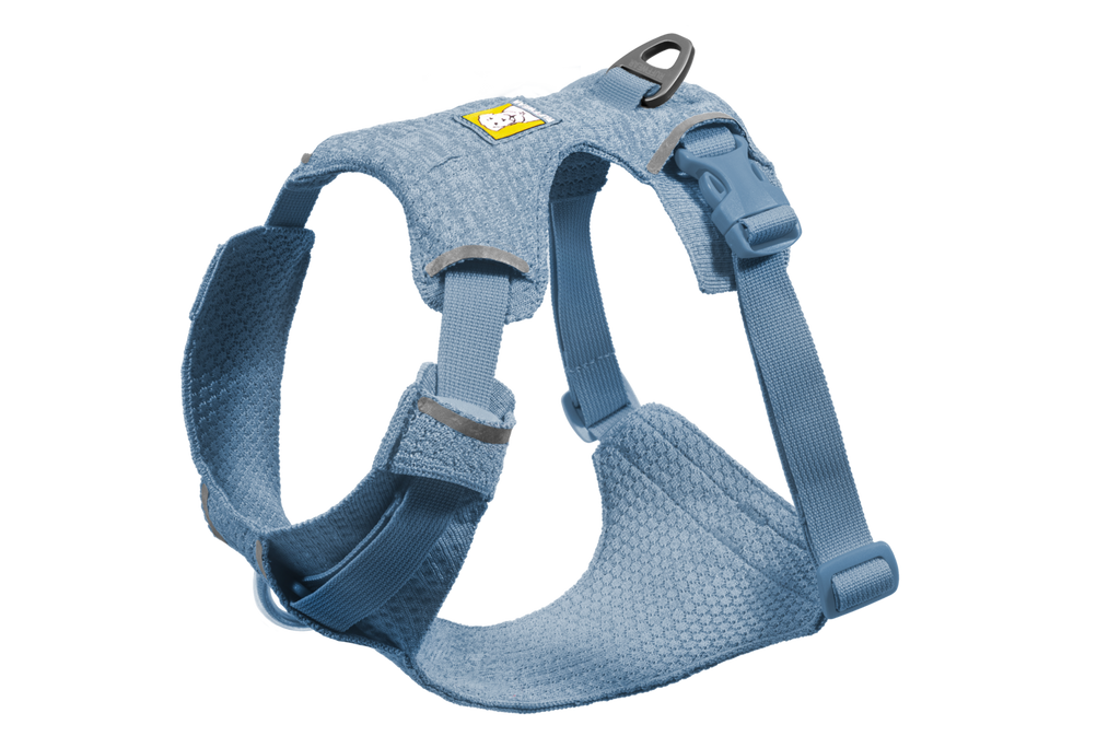 Polar Blue (482)