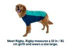 Aurora Teal (421)