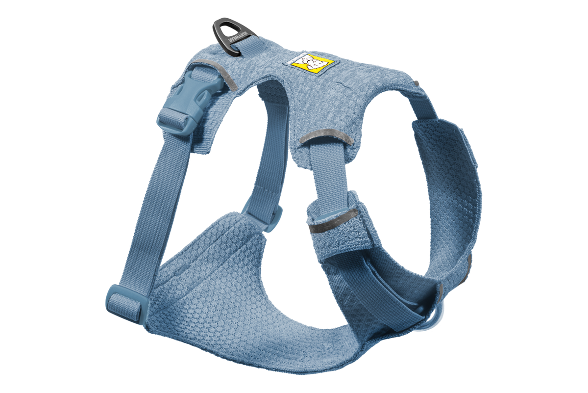 Polar Blue (482)