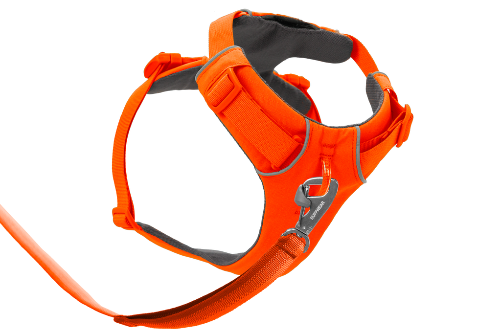 Blaze Orange (850)
