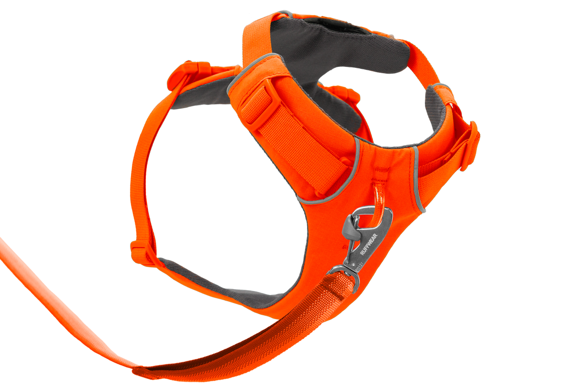 Blaze Orange (850)