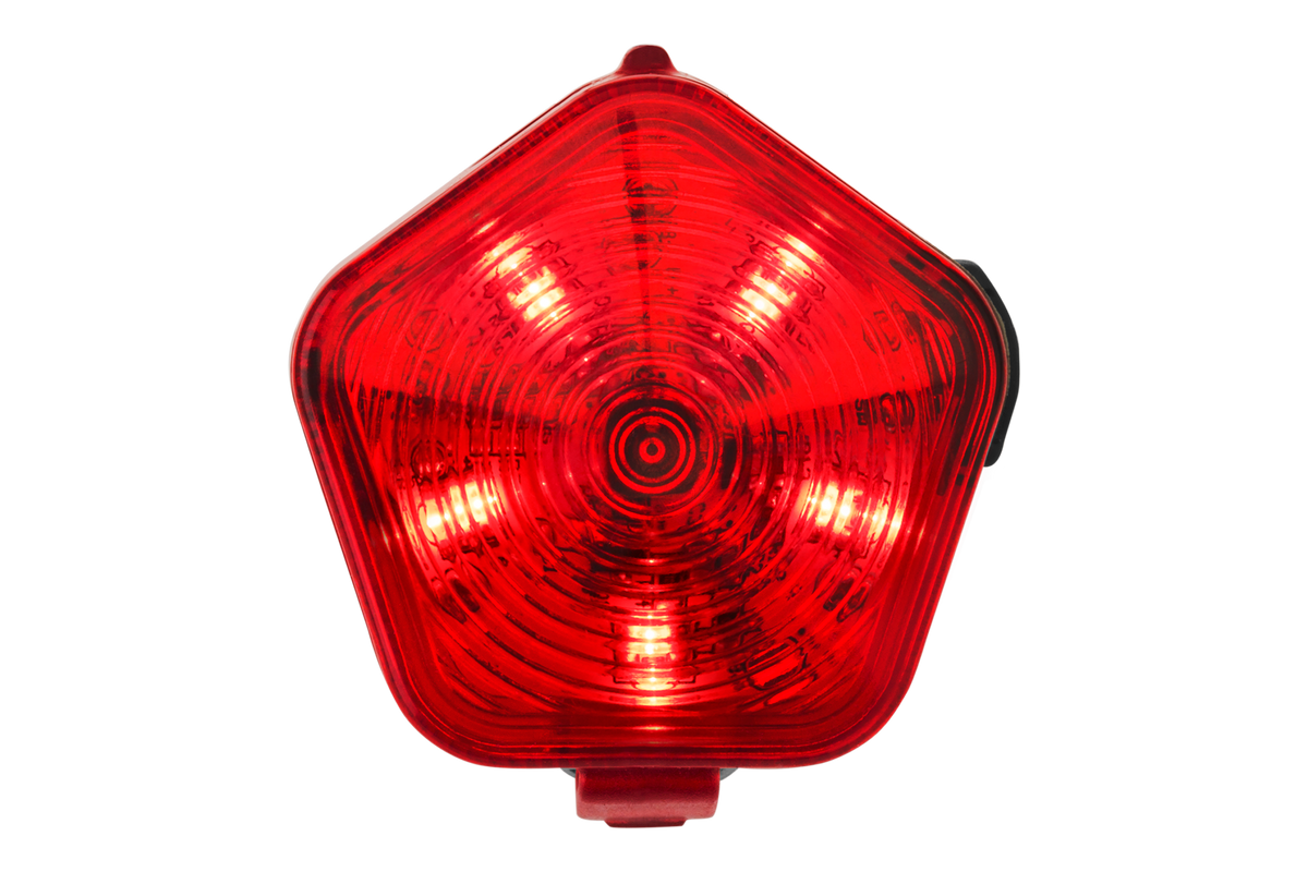 Red Currant (615)
