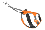 Orange Poppy (801)