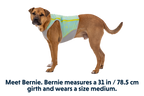 Swamp Cooler Zip™ Cooling Dog Vest
