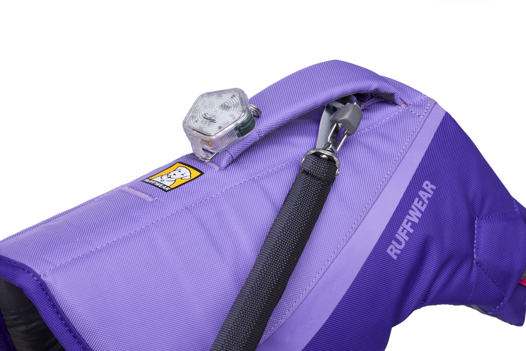 Purple Lily (530)