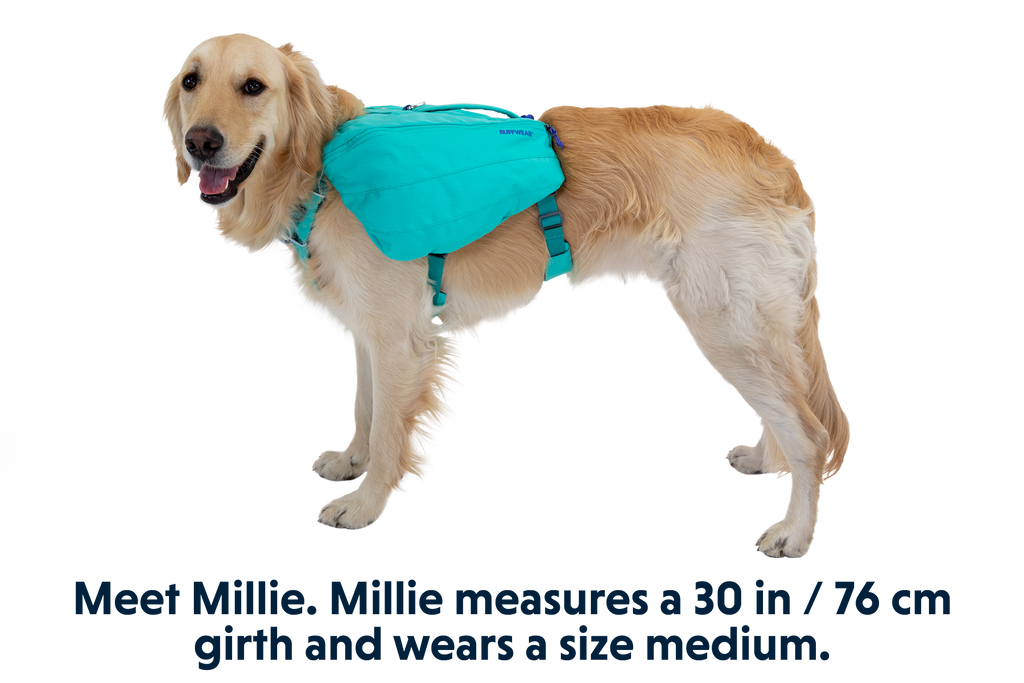 Aurora Teal (421)