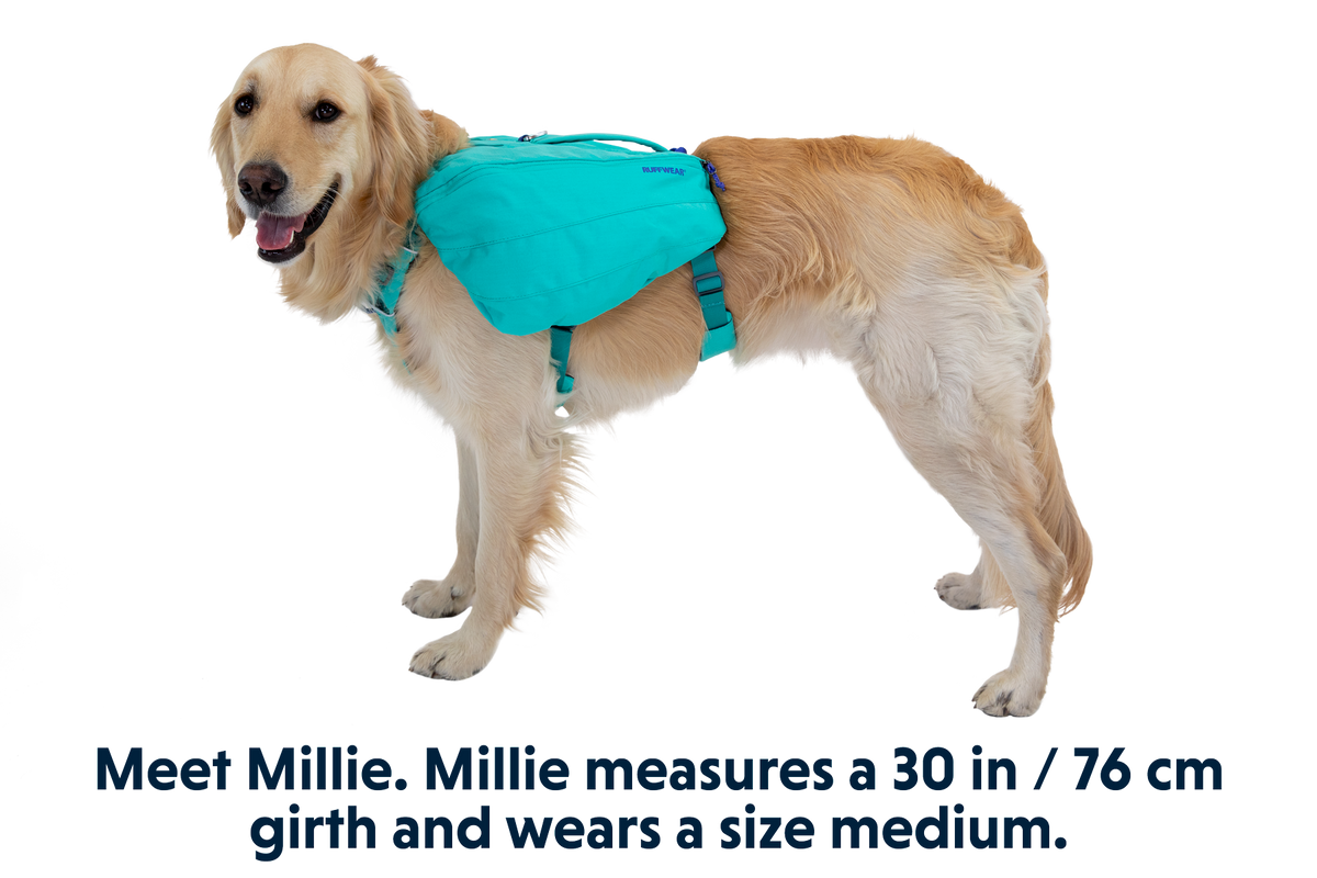 Aurora Teal (421)