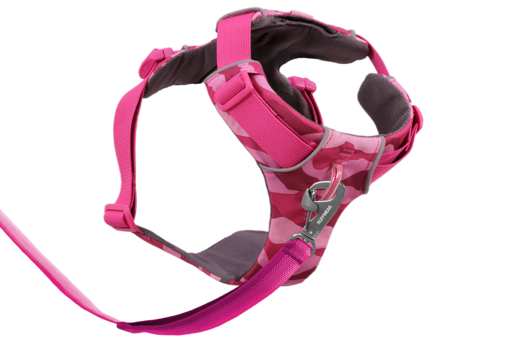 Pink Mountains (990)