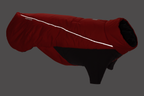Red Sumac (607)