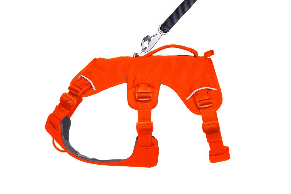 Blaze Orange (850)