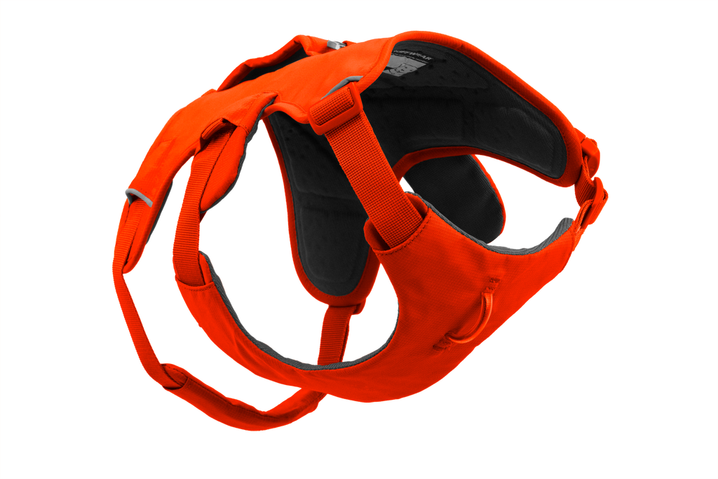 Blaze Orange (850)