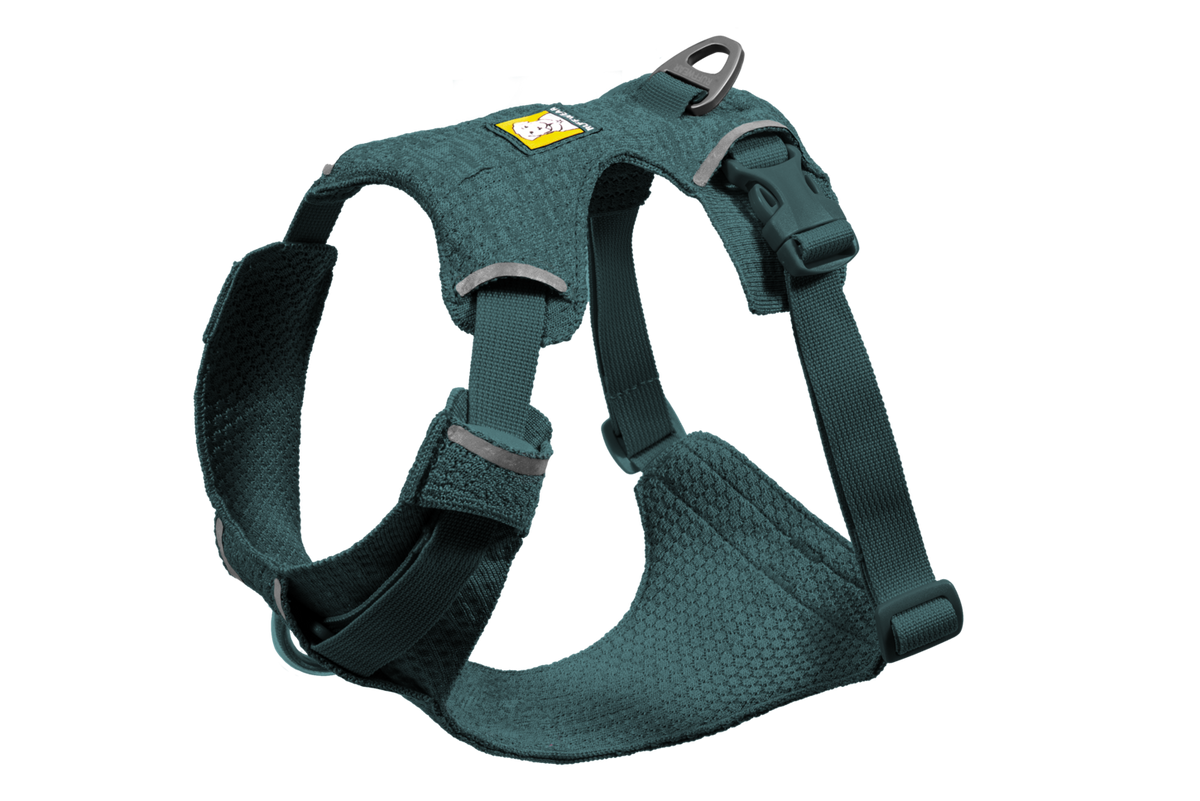 Deep Teal (444)