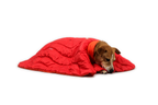 Red Currant (615)